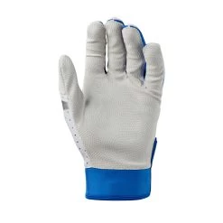 Evoshield Daze Youth Baseball Batting Gloves 19 Evoshield Daze Youth Baseball Batting Gloves -Baseball Shop wb5722203 1 evo daze batting glove adult ro.png.cq5dam.web .2000.2000 39974.1679402581